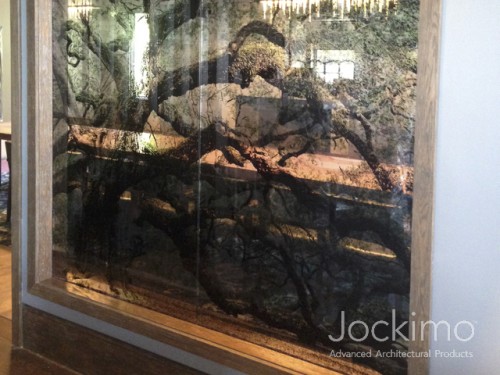 bacara tree imagenglass jockimo close