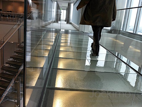 fish glassflooring walking