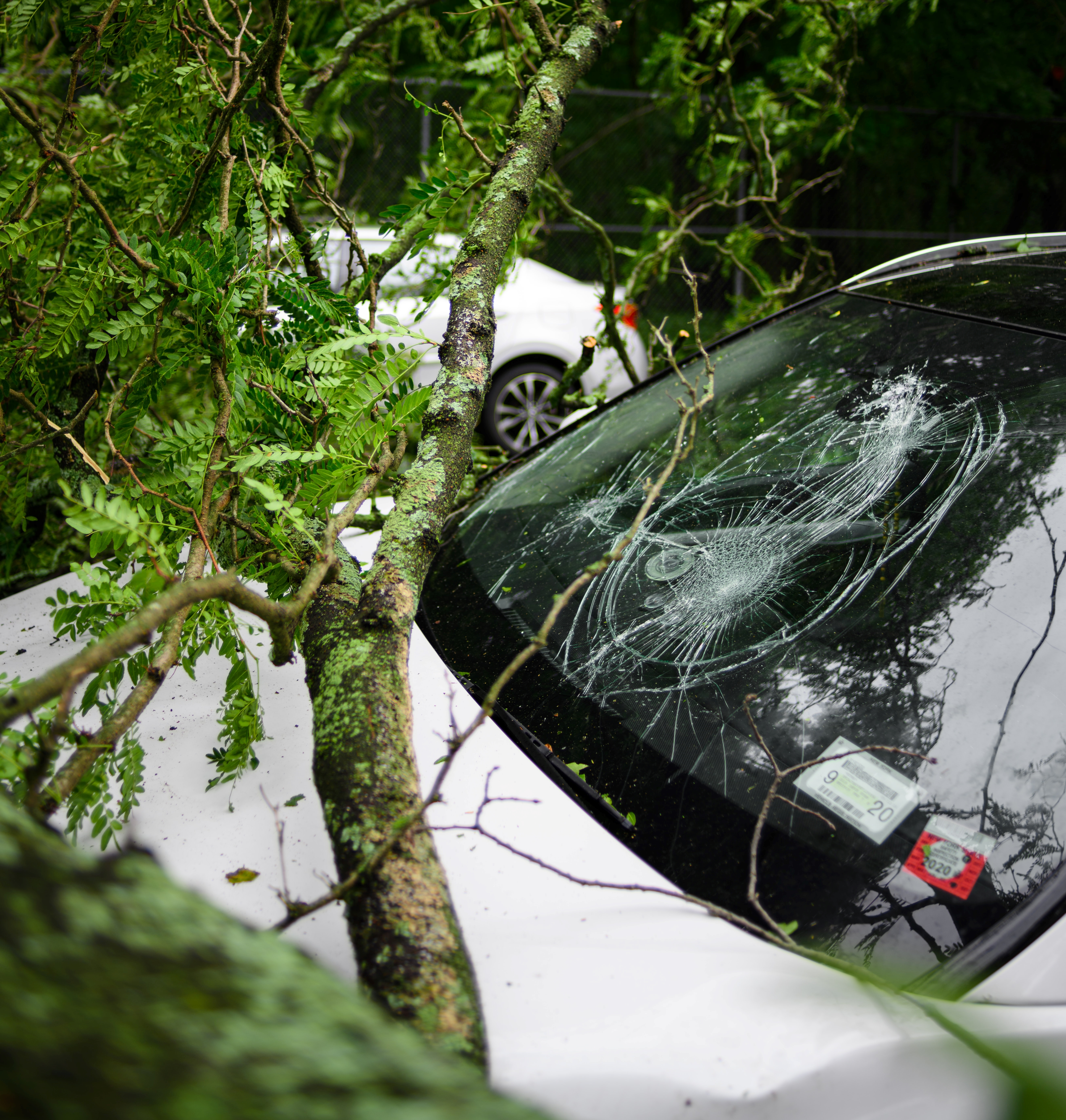 Laminated Glass on a Car Windshield